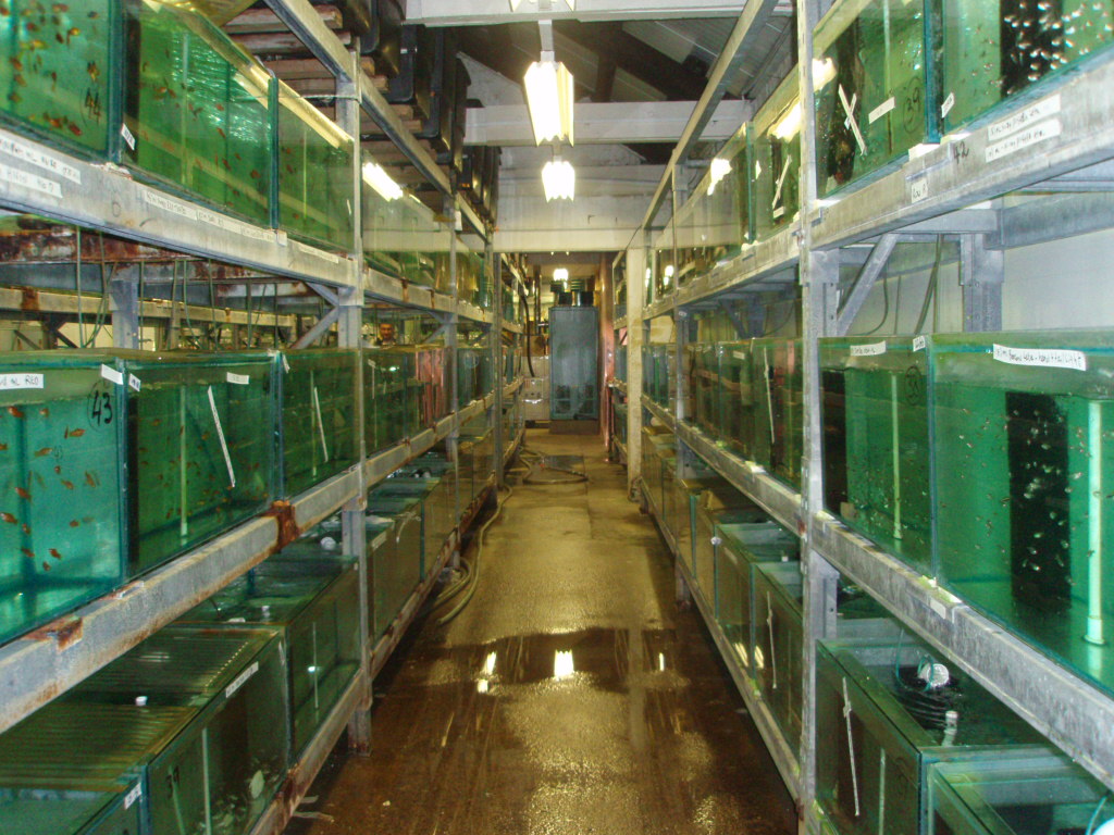 image01.jpg