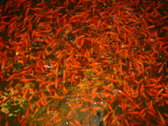 image04.jpg