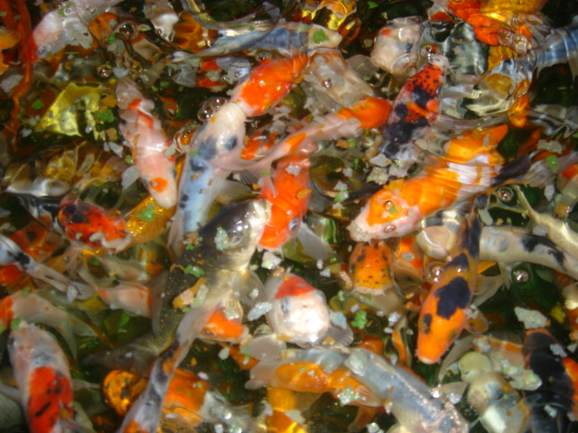 image05.jpg